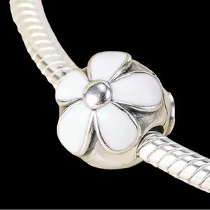 New Charm Stopper Clip